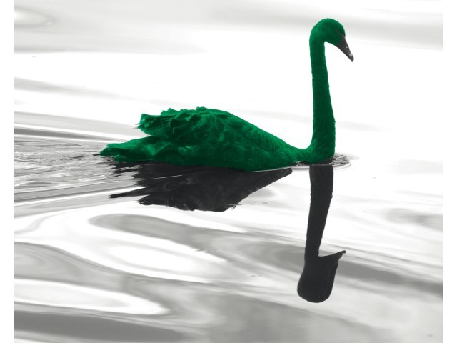 Coverbild der BIZ-Studie The green swan von Januar 2020