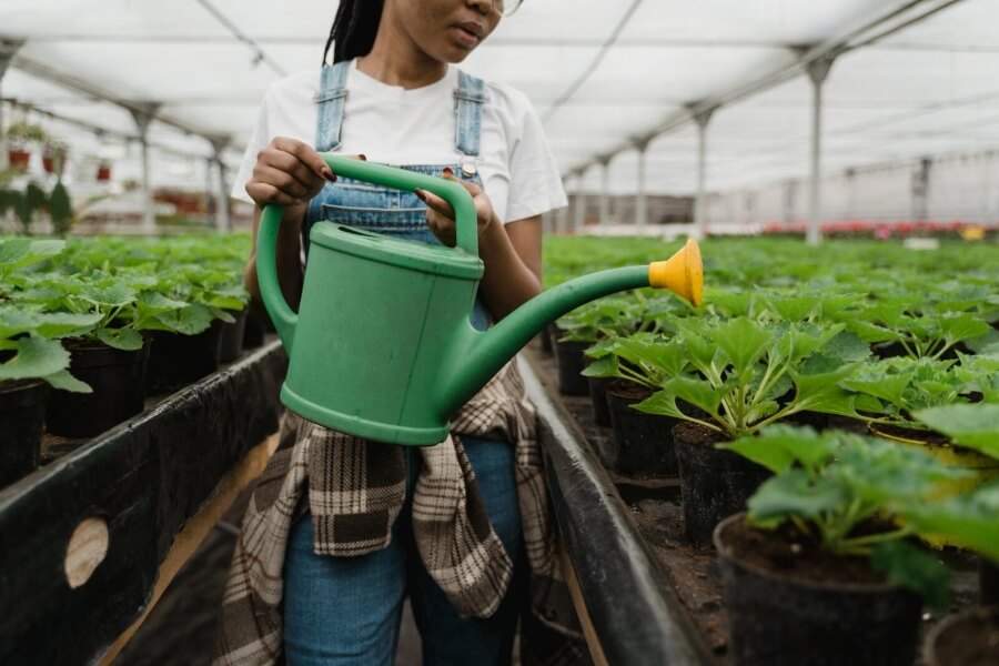 Eine junge Frau in Latzhose gießt mit der Gießkanne Pflanzen in einem Gewächshaus