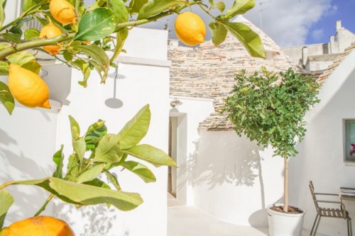 Urlaubsort, weißes Haus in Südeuropa mit Zitronenbäumen