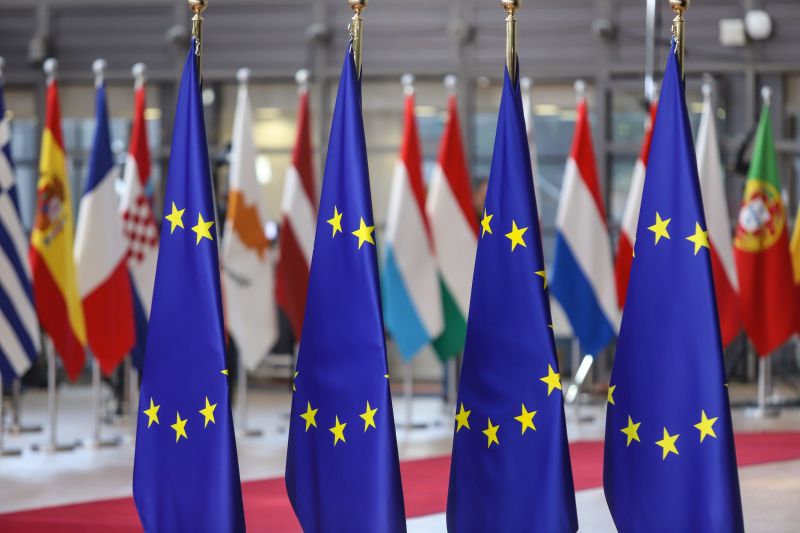Europaflaggen im Vordergrund, Mitgliederflaggen im Hintergrund