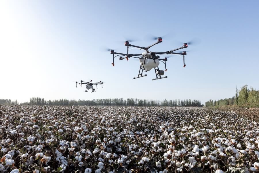 Zwei Drohnen fliegen über ein Baumwoll-Feld