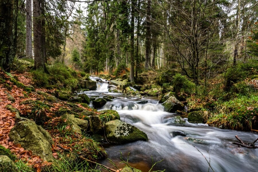 Ein Bach fließt durch einen deutschen Wald