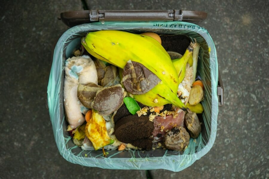Eine geöffnete Mülltonne mit Bio-Abfällen