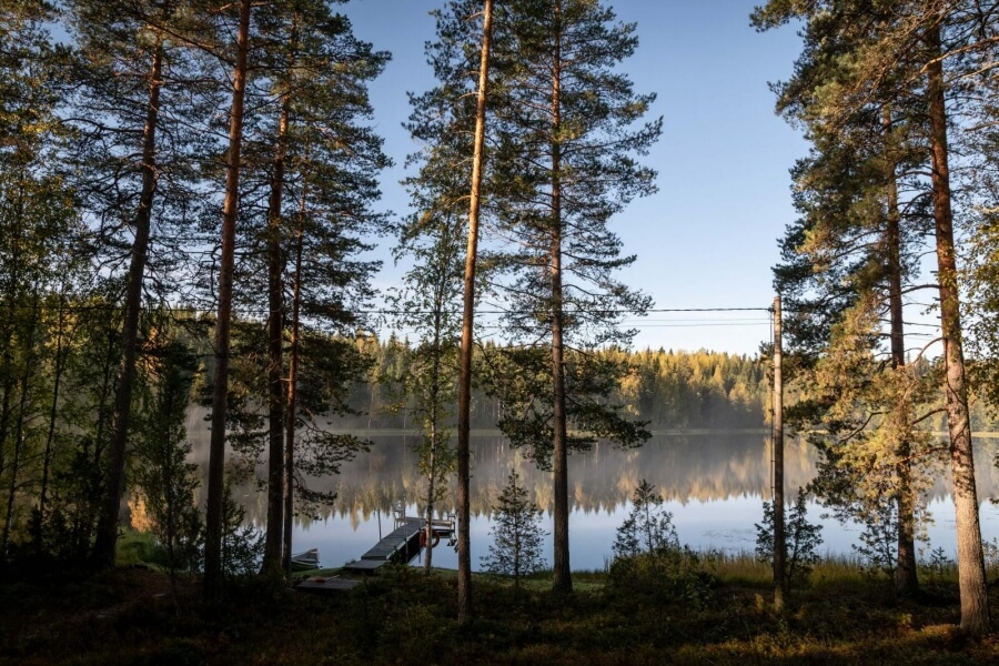 Finnischer Wald