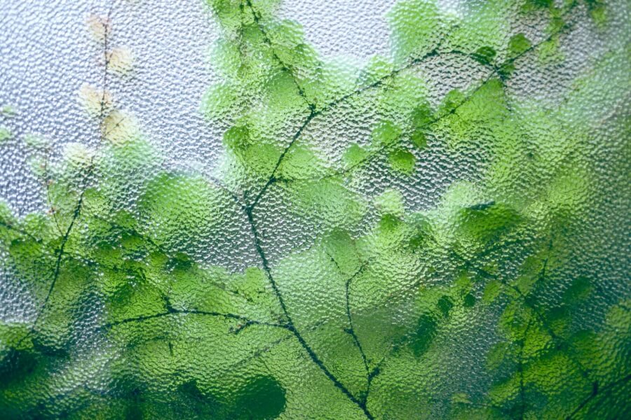 Blätter hinter einem milchigen Fenster