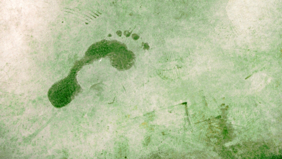 Ein grüner Fußabdruck als Symbol für Klimaschutz