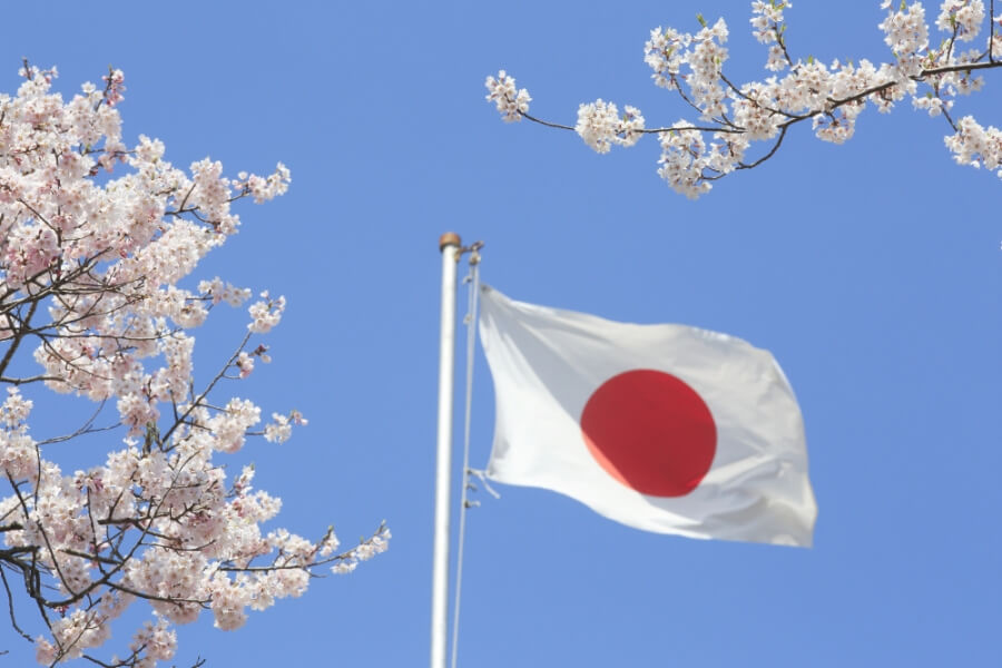 Kirschblüte in Japan, im Hintergrund die japanische Flagge