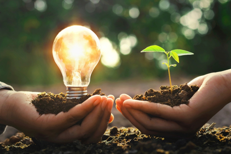 Zwei Hände: Eine hält eine leuchtende Glühbirne, die andere eine Pflanze, Symbolbild nachhaltige Innovationen