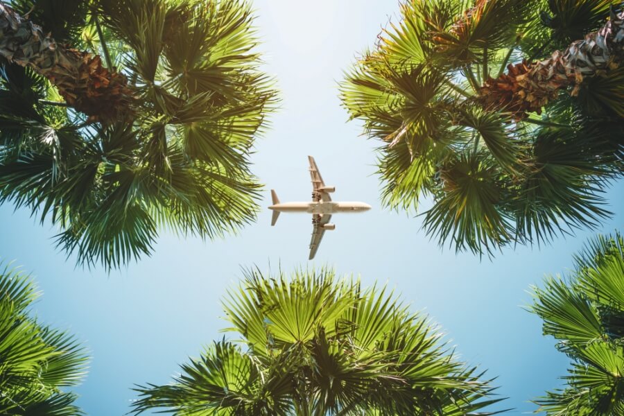 Flugzeug über Palmen