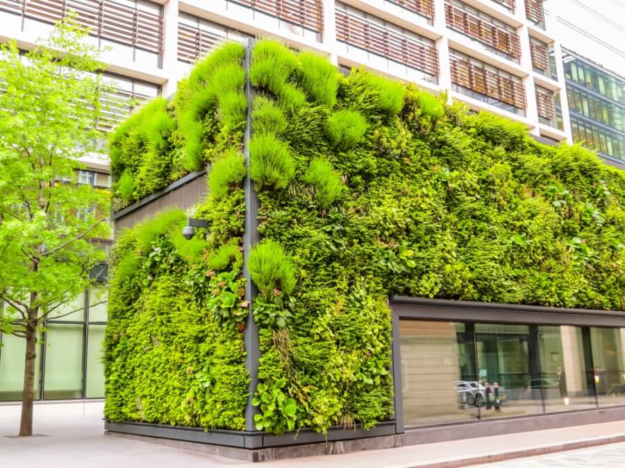 Ökologische Architektur: Haus mit begrünter Fassade und Dach