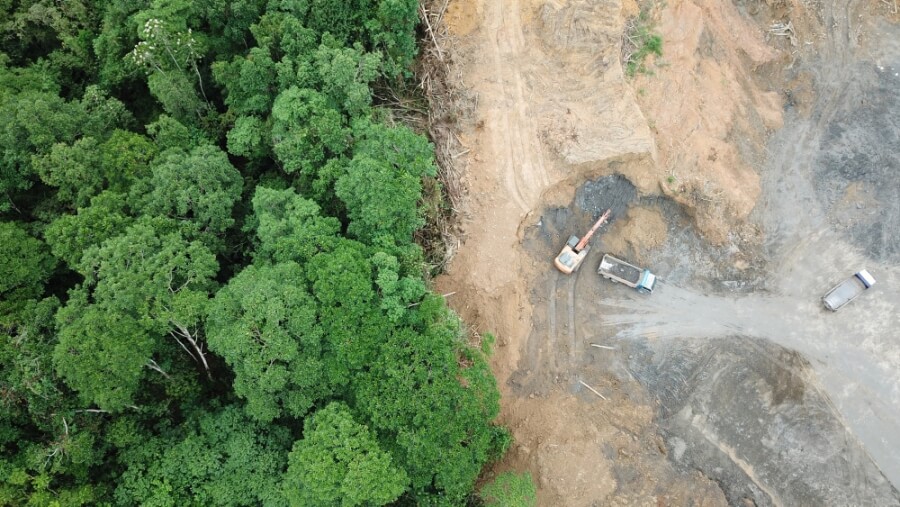 Drohnen-Foto: Links der intakte Regenwald, rechts gerodetes Gebiet mit Baumaschinen